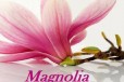 Magnolia Salon Kosmetyczny - Katarzyna Korczak